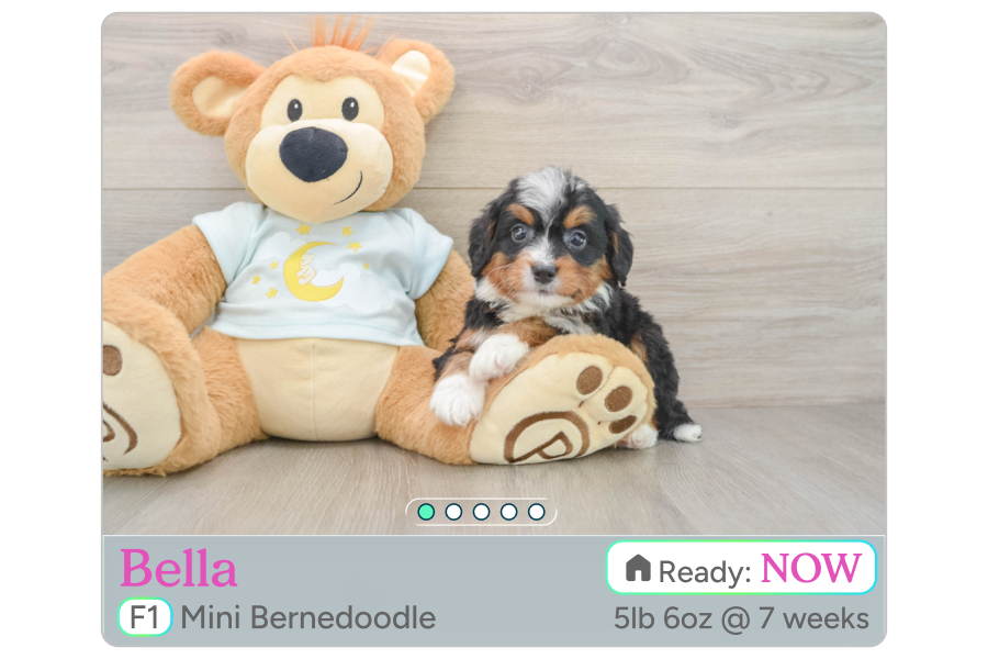 Reserving a puppy through Pilesgrove Pups checkout