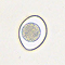 Coccidia parasite