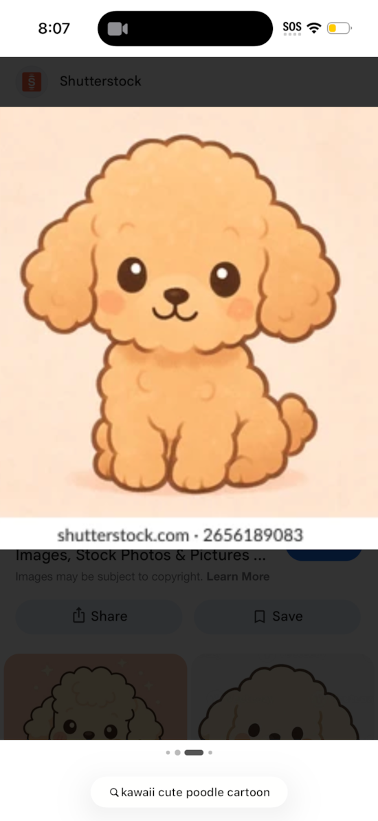 Poodle