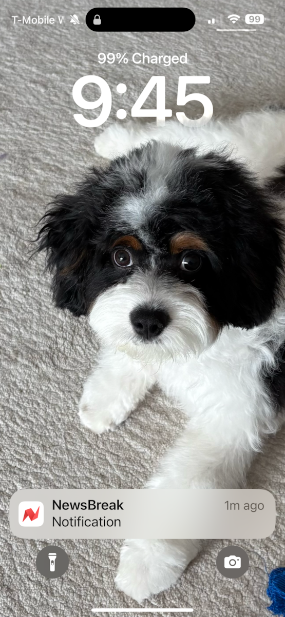 Remy