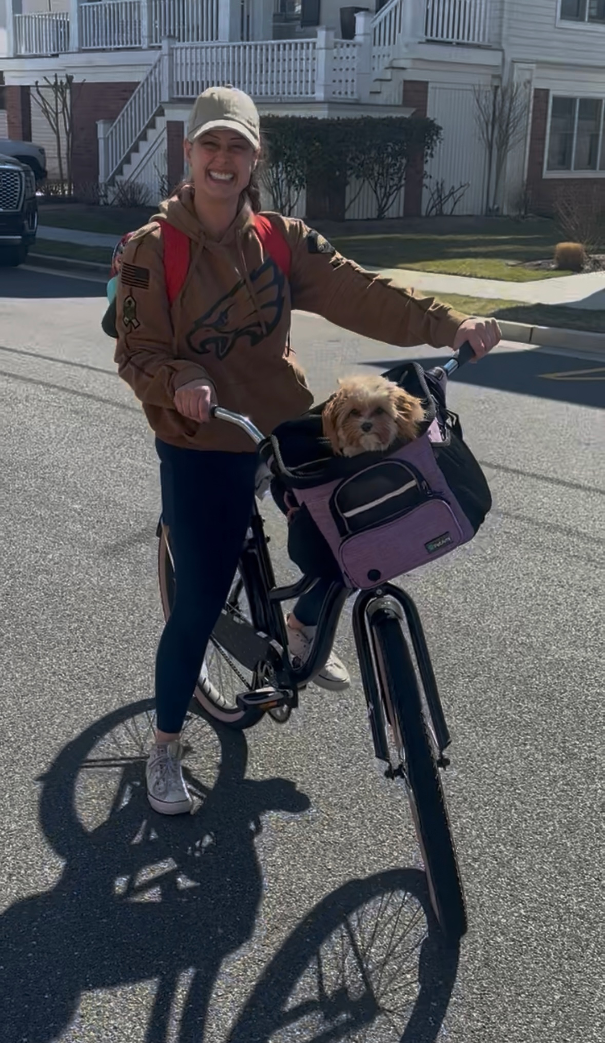 Small Cavapoo Baby