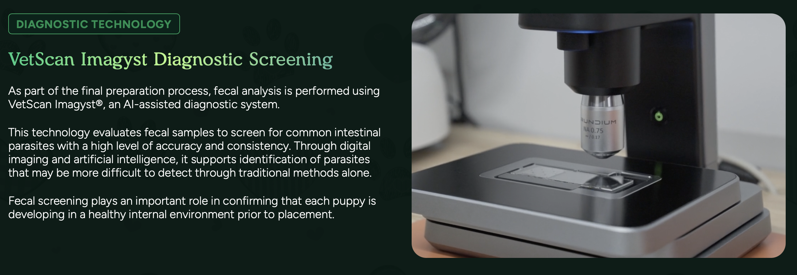 vetscan imagyst fecal screening for puppies at pilesgrove pups
