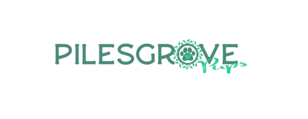 30 Most Asked Questions About Pilesgrove Pups Answered 