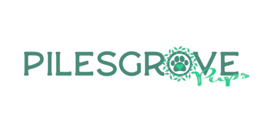 30 Most Asked Questions About Pilesgrove Pups Answered