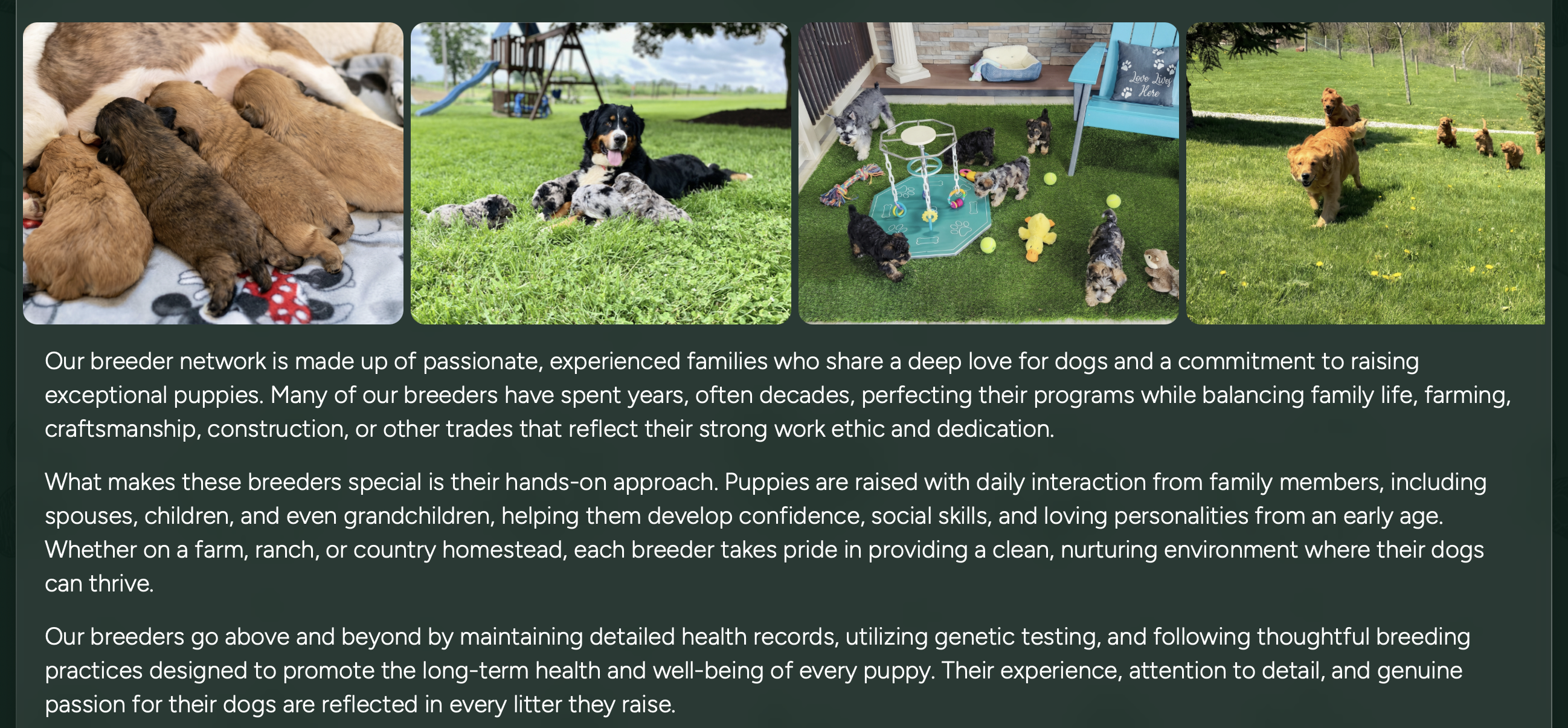breeders and puppy development plan at pilesgrove pups