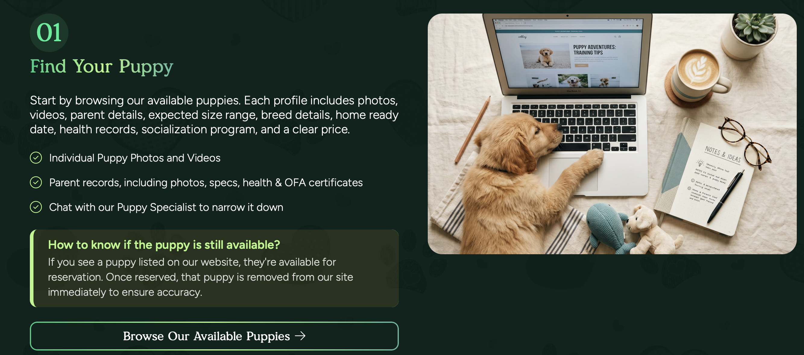 how puppy reservation works at pilesgrove pups