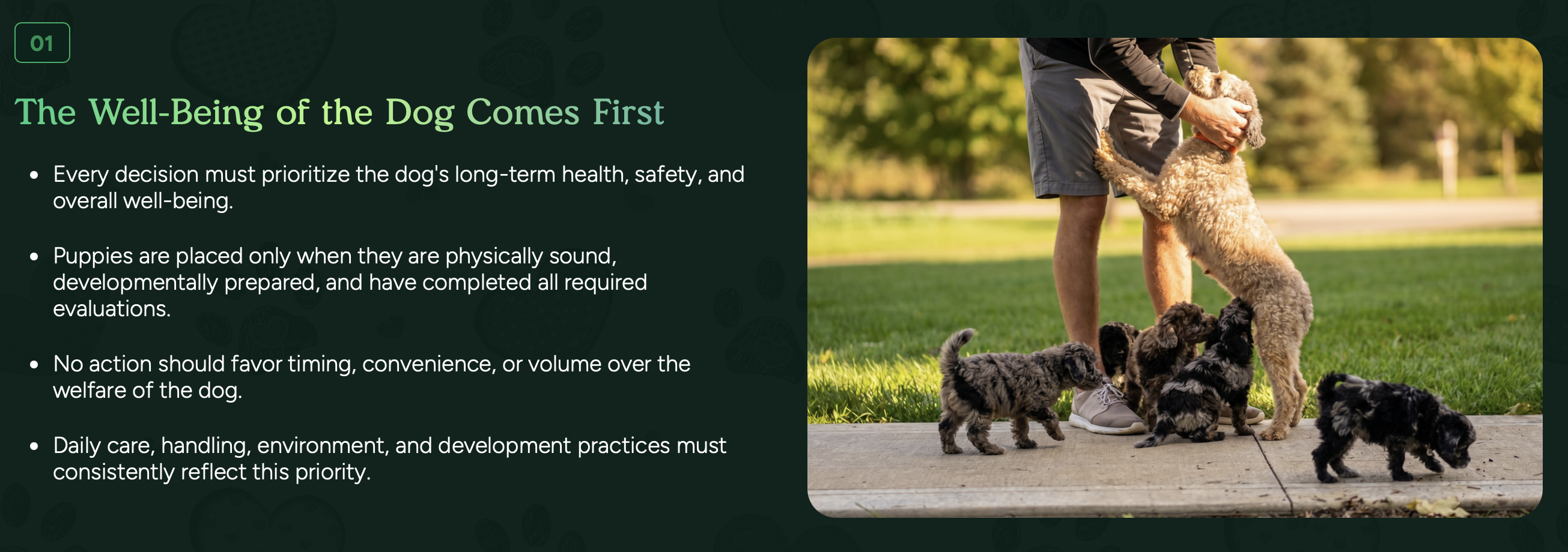 pilesgrove pups code of ethics