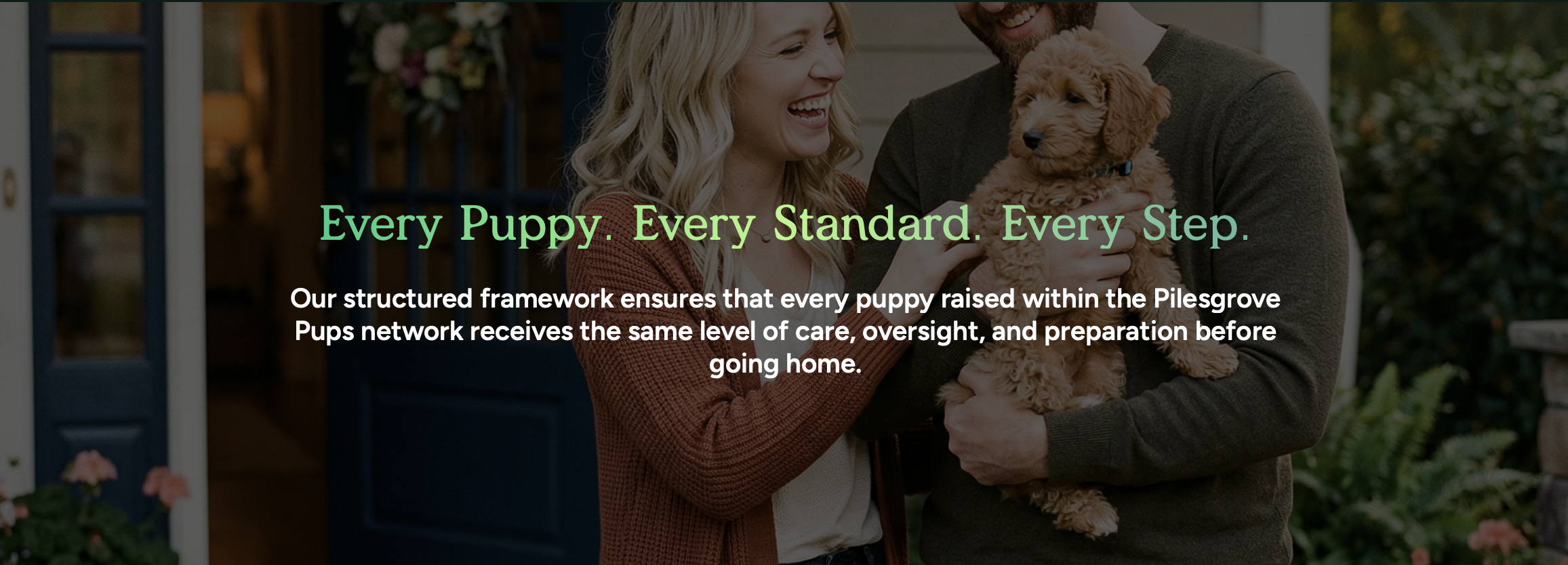 is pilesgrove pups a broker - every standard every puppy and every step at pilesgrove pups
