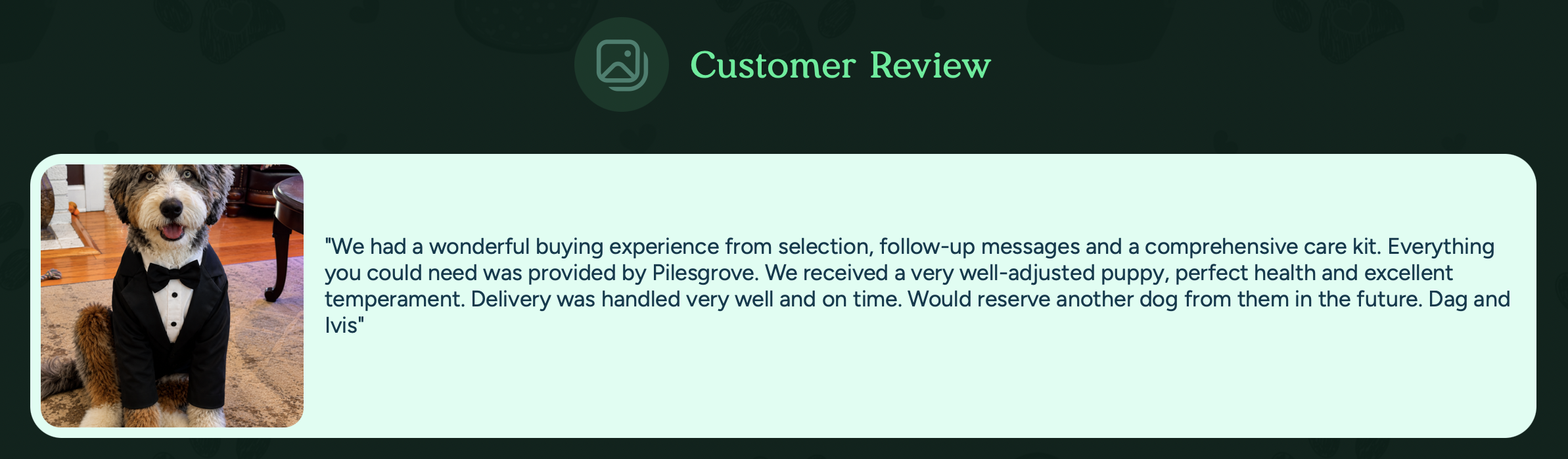 pilesgrove pups customer review 1
