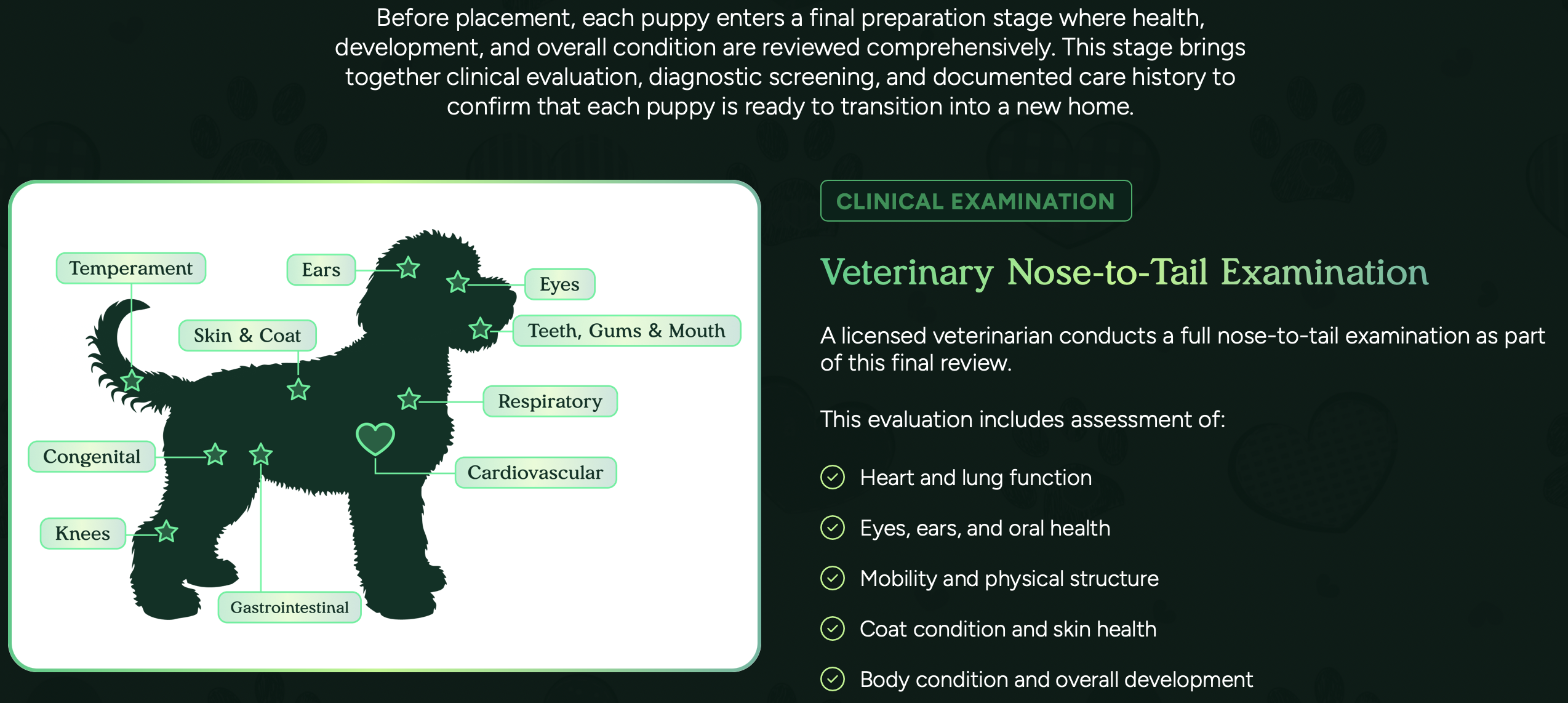 pre placement health evaluations at pilesgrove pups