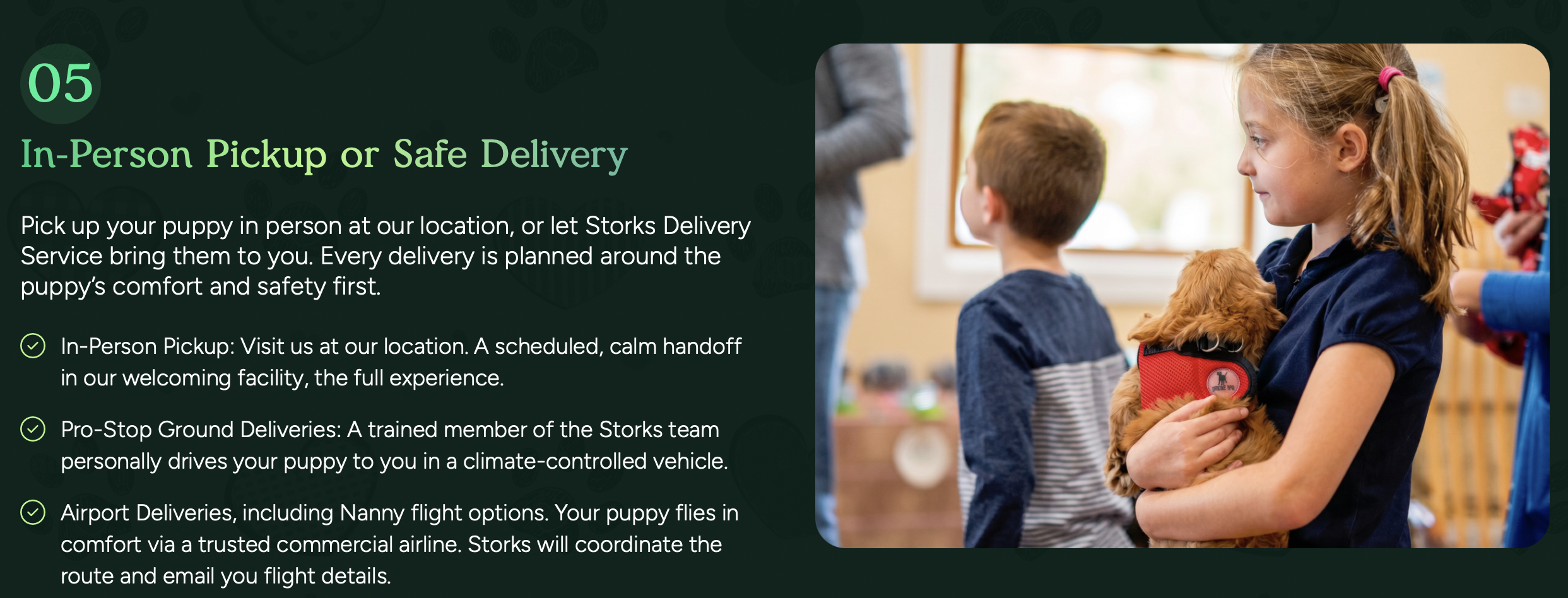 pickup and delivery options at pilesgrove pups