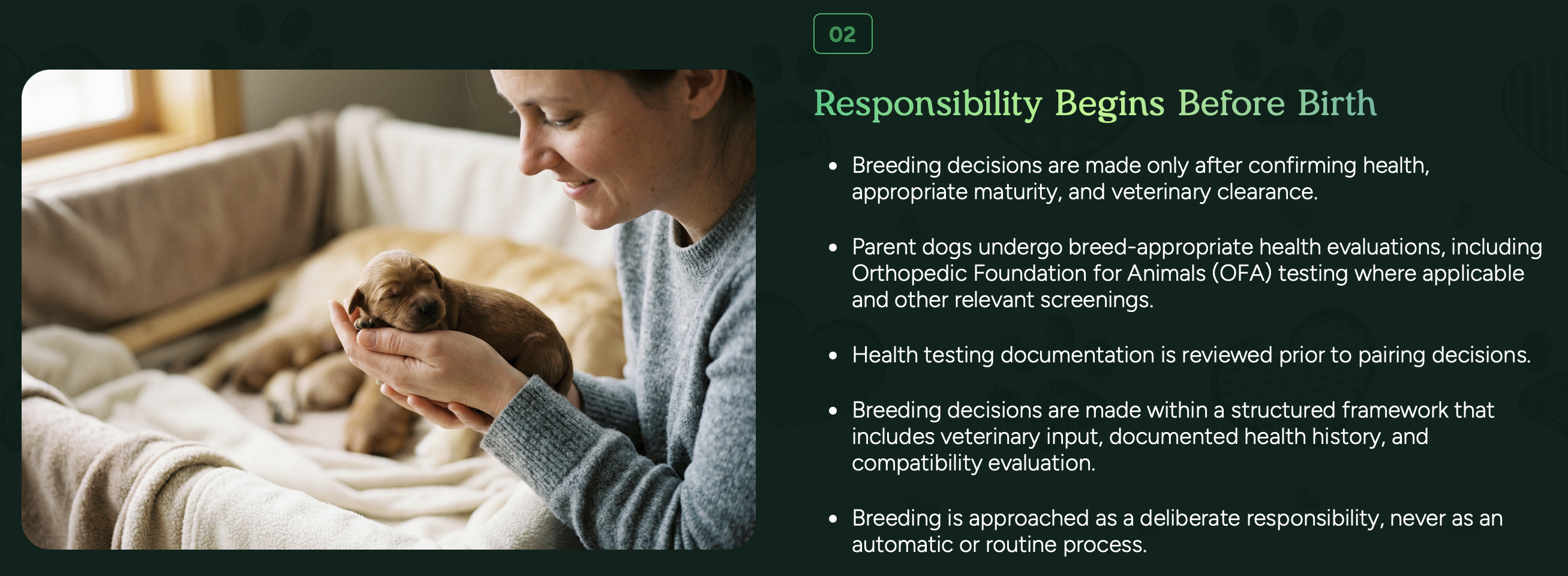 responsability begins before puppies are born at pilesgrove pups - health tested puppies and parent dogs