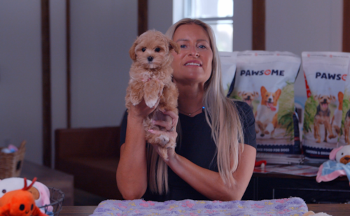 Pilesgrove Pups Thinking about bringing home a Maltipoo? Here’s what future puppy parents should know.  Trending Video