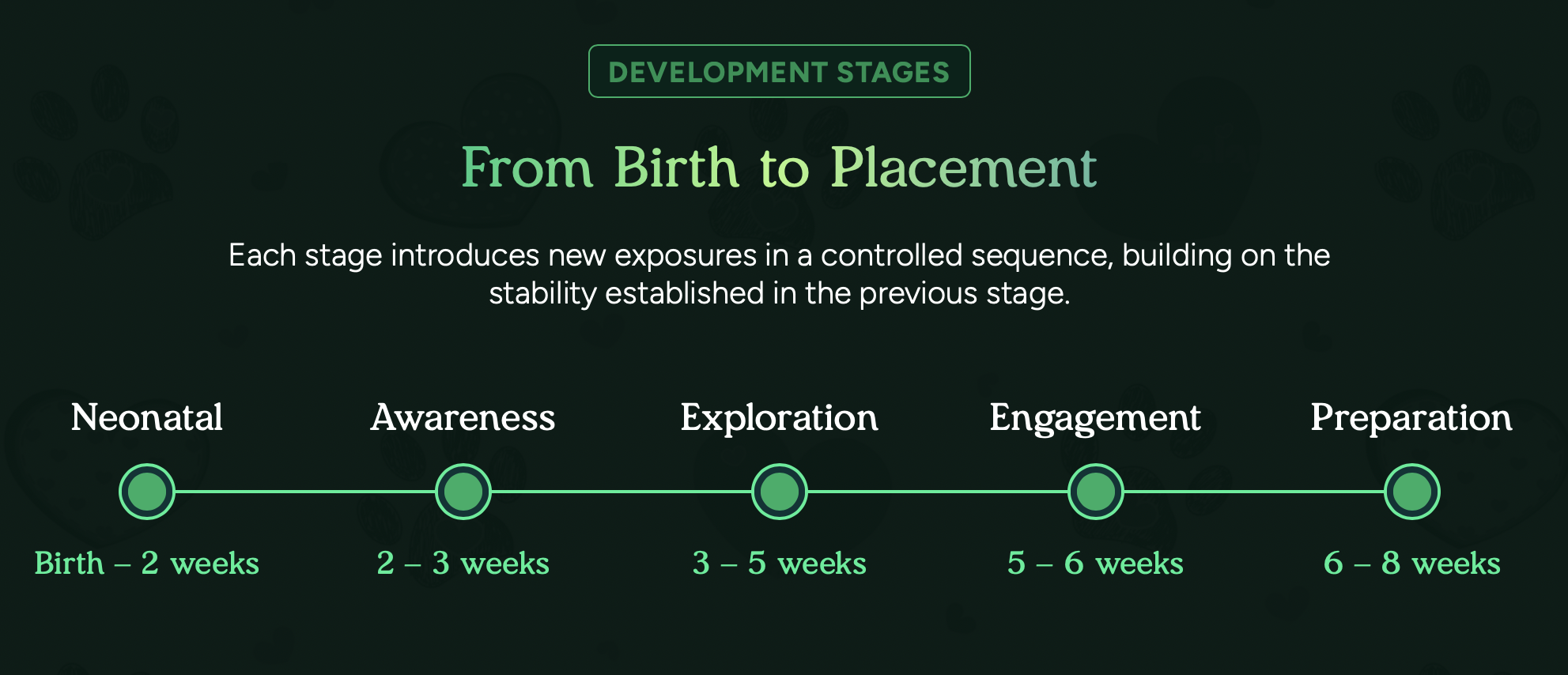 from birth to 8 weeks development and health at pilesgrove pups
