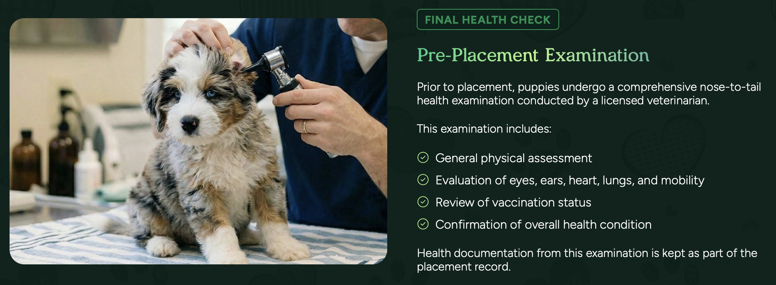pre placement examination at pilesgrove pups