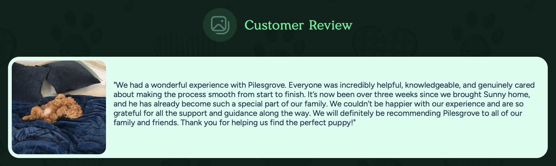 pilesgrove pups customer review 2