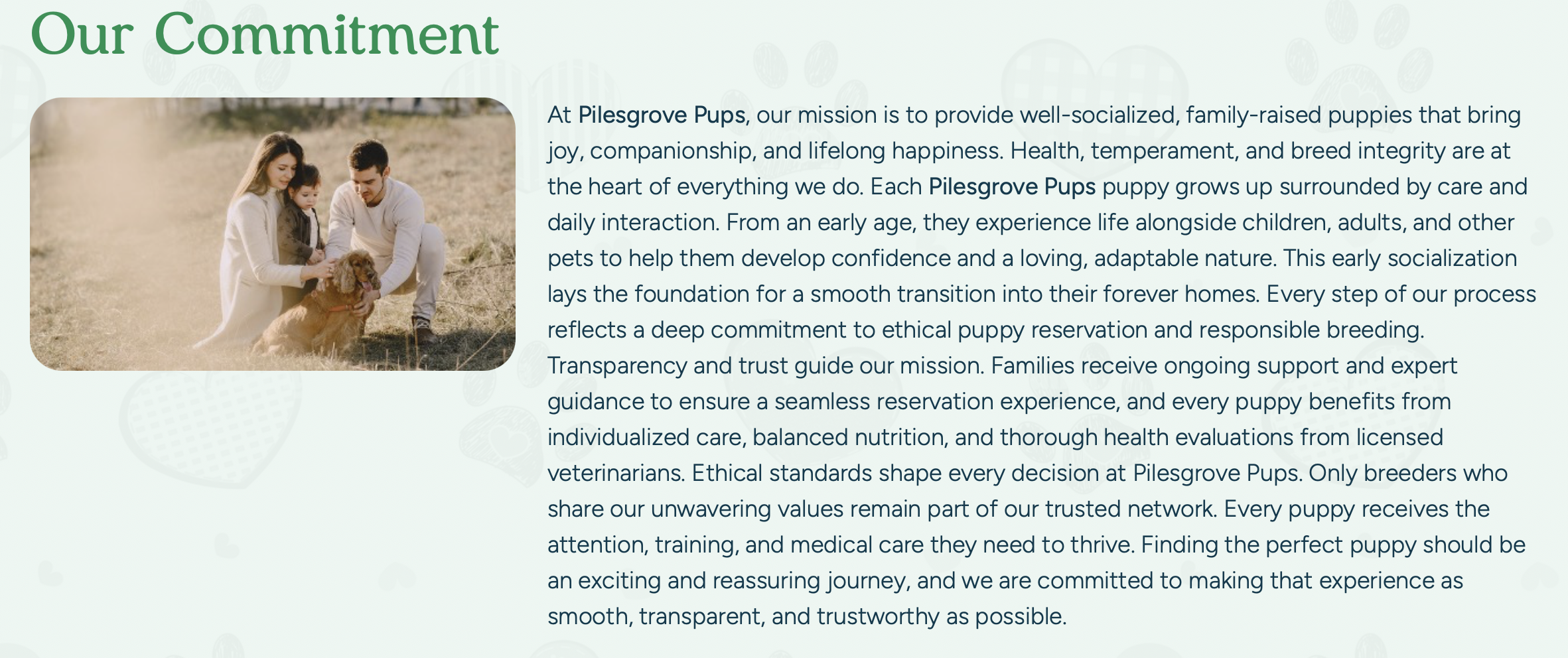 pilesgrove pups commitment - is pilesgrove pups a puppy mill no