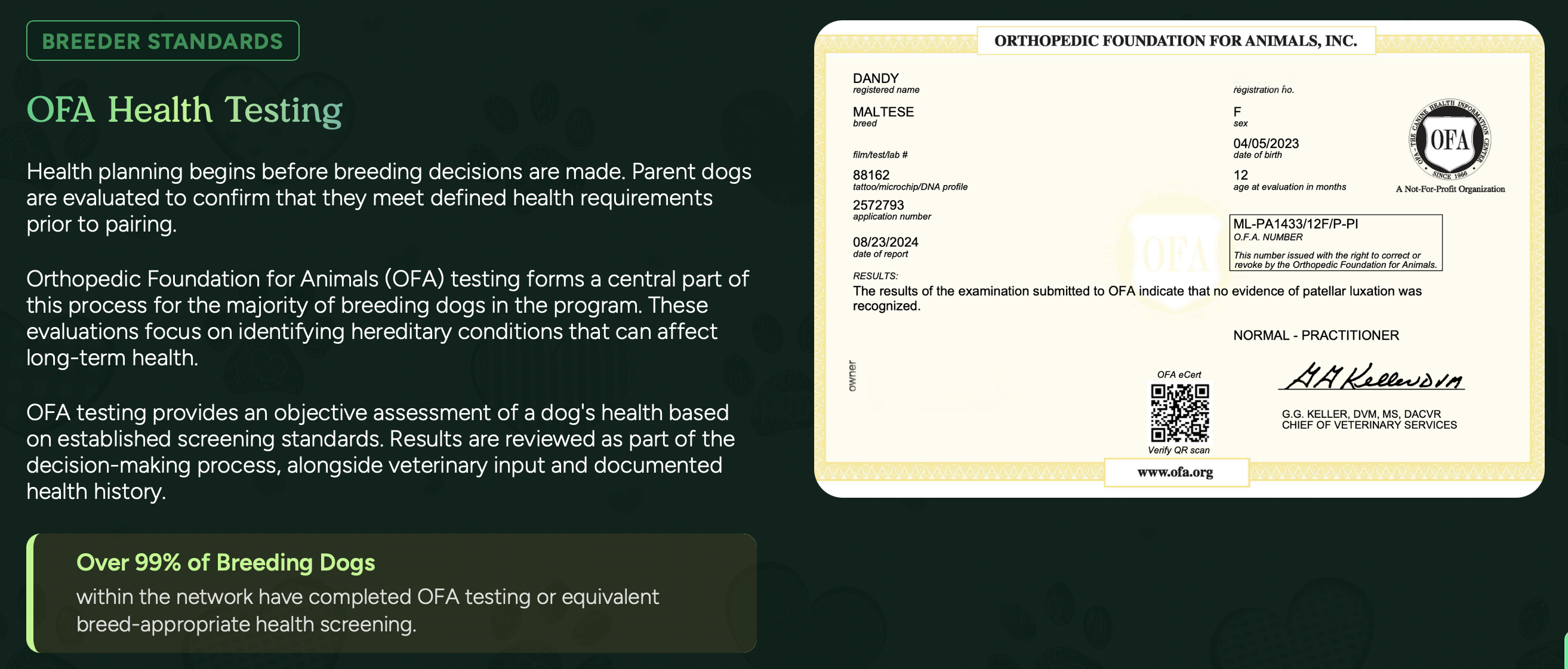 pilesgrove pups OFA certifications - healthy dogs and puppies from reputable breeders