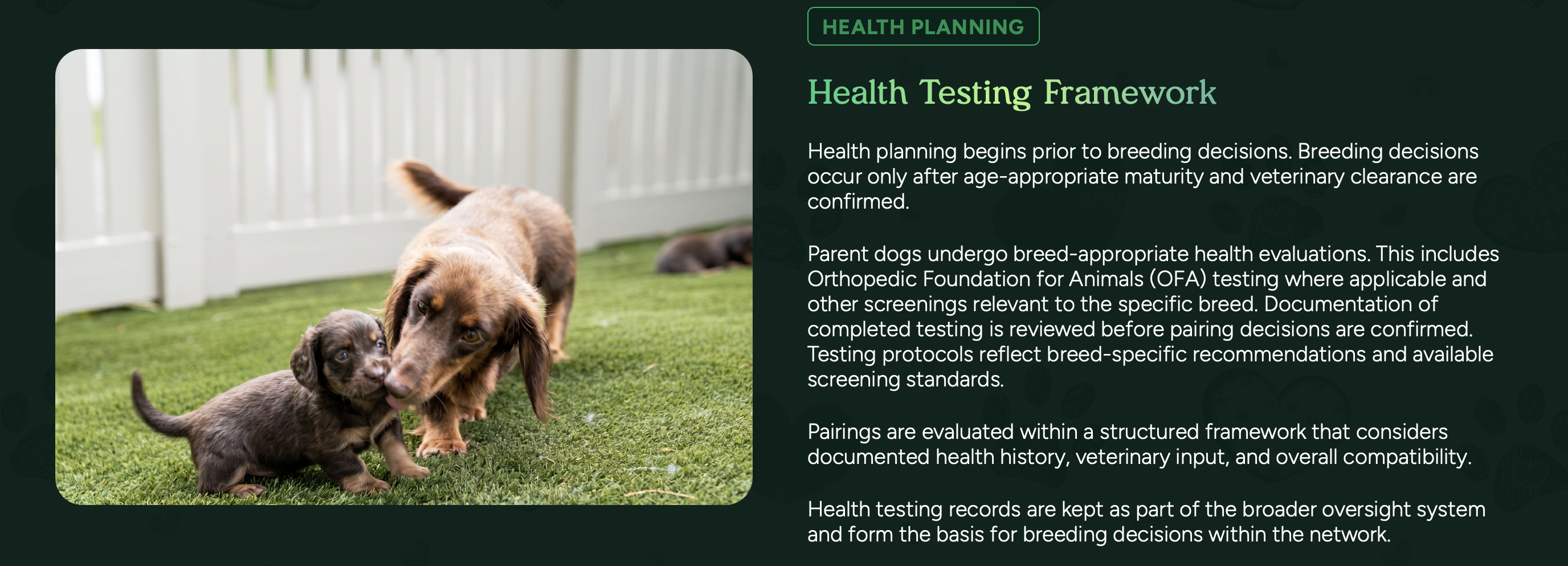 health testing framework at pilesgrove pups