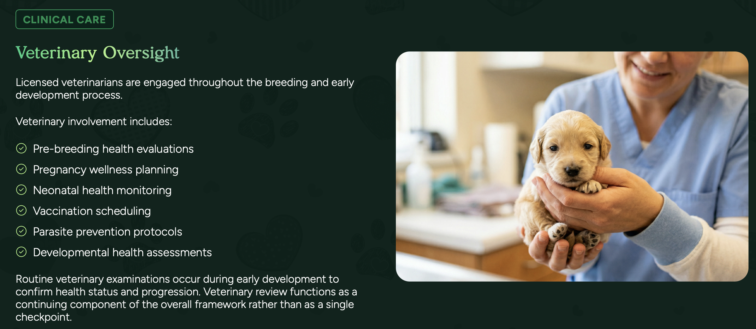 pilesgrove pups lisenced veterinarians
