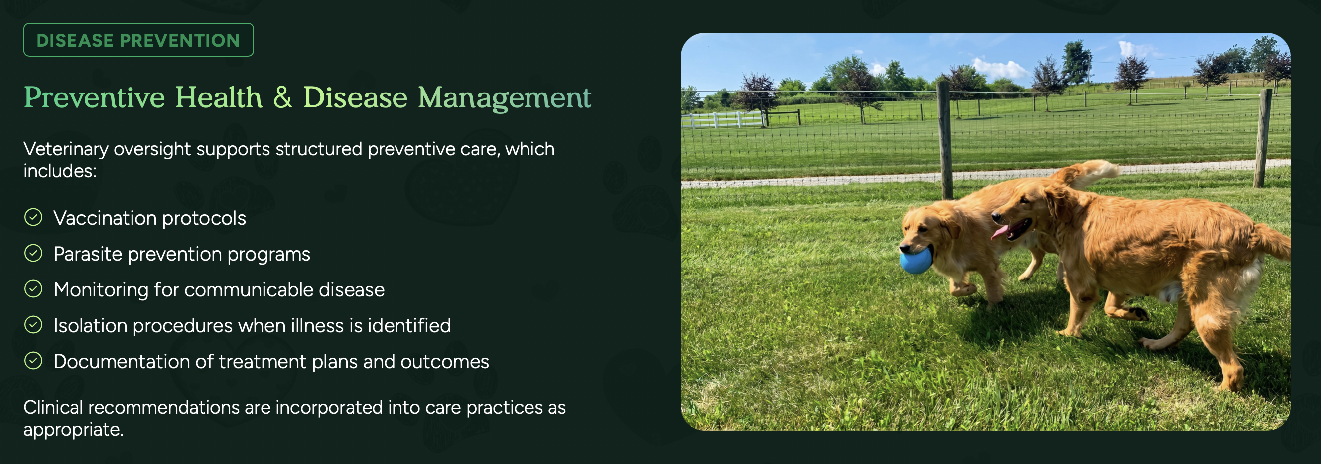 preventive care at pilesgrove pups