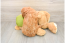 Smart Cavapoo Poodle Mix Pup