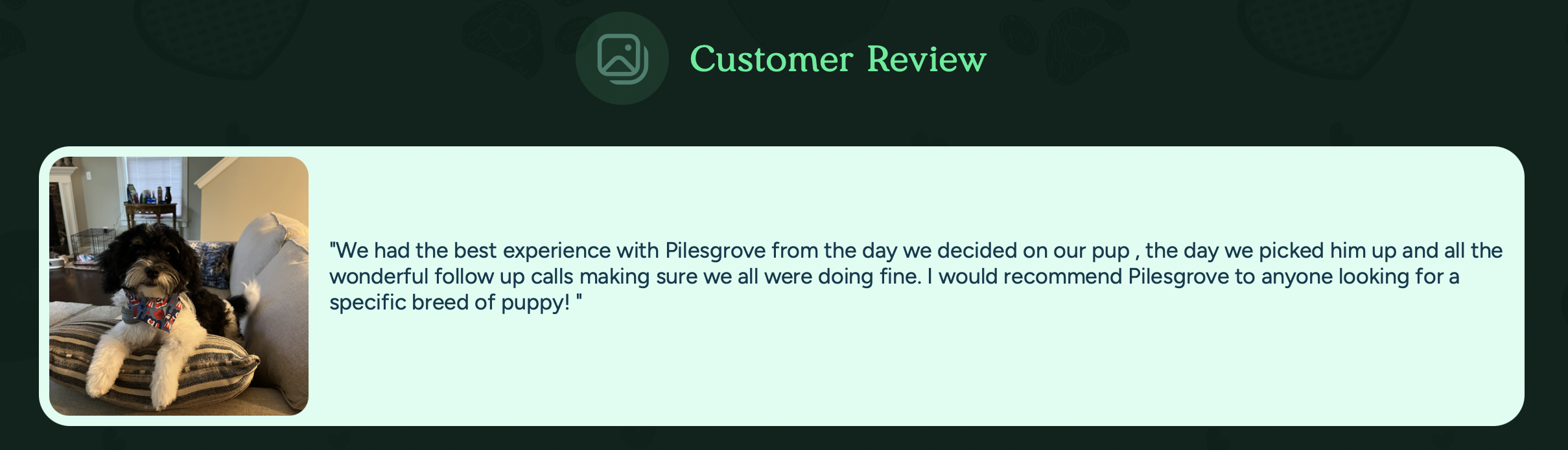 pilesgrove pups customer review 3