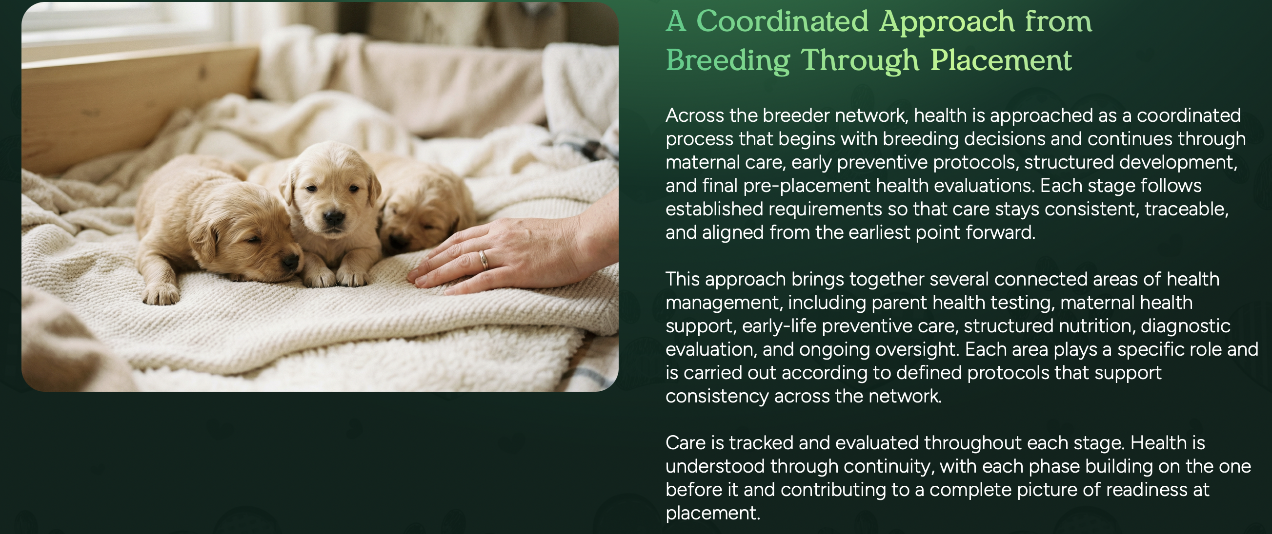 puppy care is tracked at pilesgrove pups