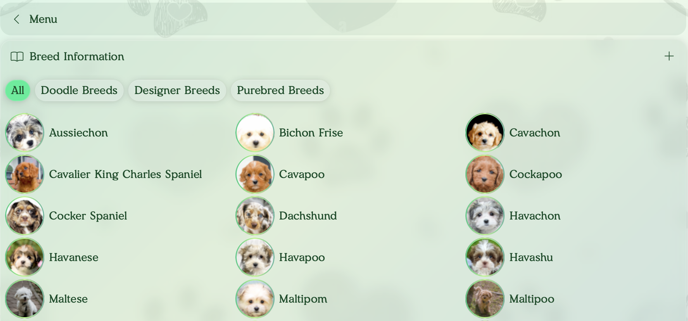 breed information menu at pilesgrove pups