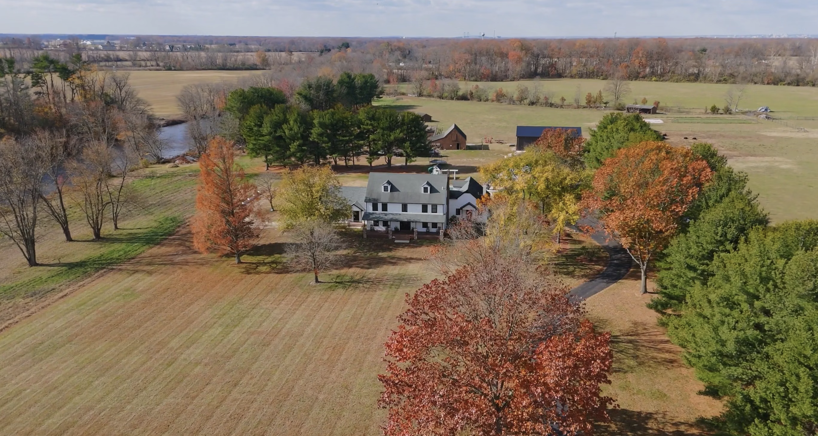 pilesgrove pups location picture from above