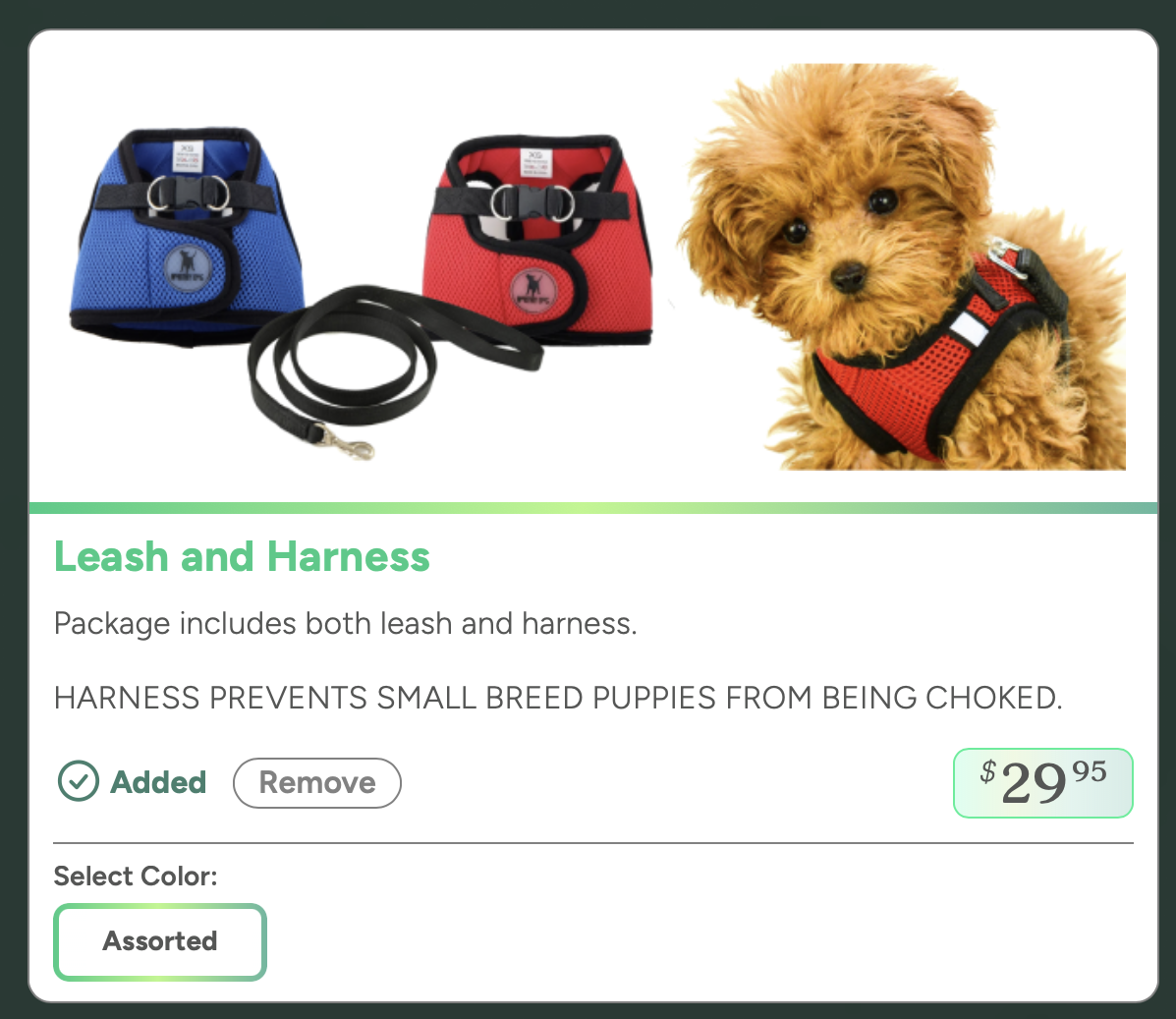 leash and harness - optional items before checkout