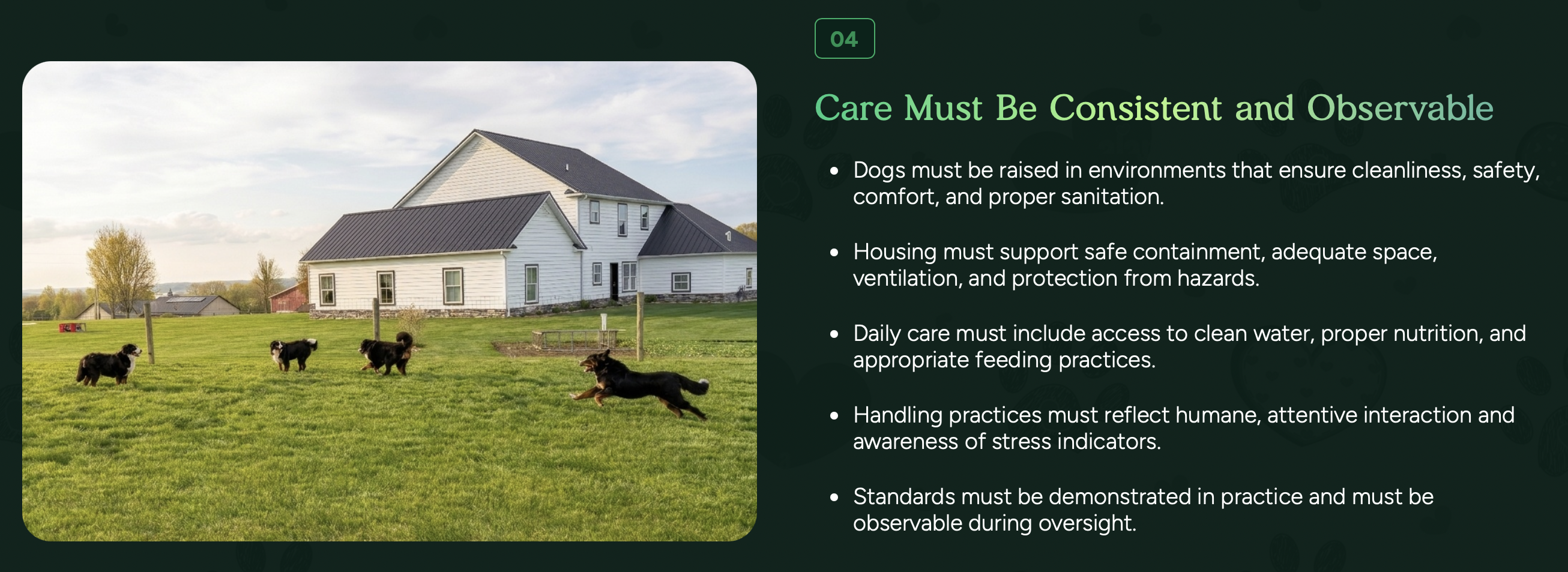 code of ethics at pilesgrove pups