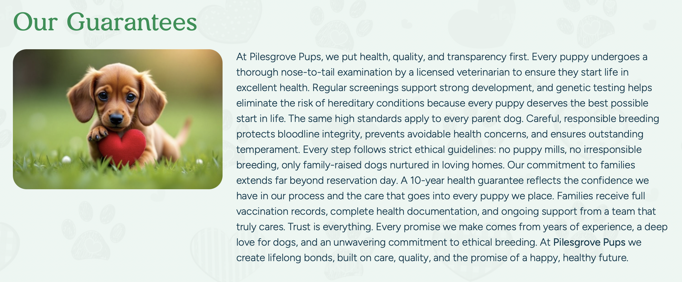 guarantees at pilesgrove pups - is pilesgrove pups safe