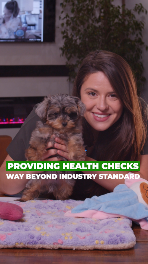 Pilesgrove Pups “Beyond Standard” Health Checks Trending Video