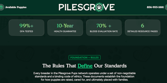 How Is Pilesgrove Pups Different From Other Puppy Sources? 