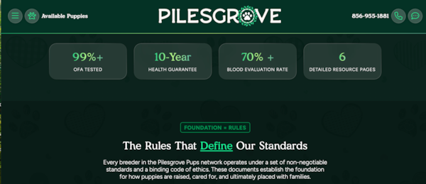 How Is Pilesgrove Pups Different From Other Puppy Sources? 
