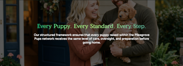 Is Pilesgrove Pups a Puppy Broker? How Our Puppy Placement Process Works 