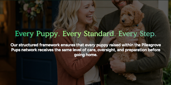 Is Pilesgrove Pups a Puppy Broker? How Our Puppy Placement Process Works
