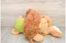 Friendly Mini Goldendoodle Baby