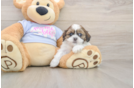 Best Teddy Bear Baby