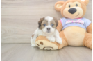 Sweet Teddy Bear Baby