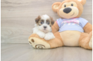 Best Teddy Bear Baby