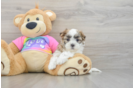 Best Teddy Bear Baby