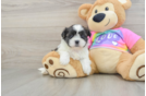 Best Teddy Bear Baby