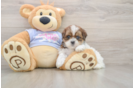 Best Teddy Bear Baby