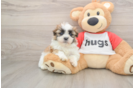 Best Teddy Bear Baby