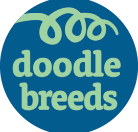 Doodle Breeds Puppies For Sale - Pilesgrove Pups