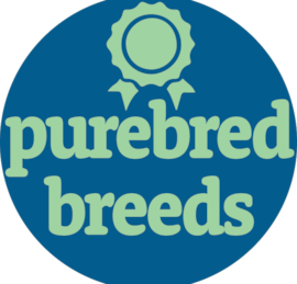 Purebred Breeds Puppies For Sale - Pilesgrove Pups