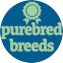 Purebred Breeds Puppy For Sale - Pilesgrove Pups Purebred Breeds Puppy For Sale - Pilesgrove Pups