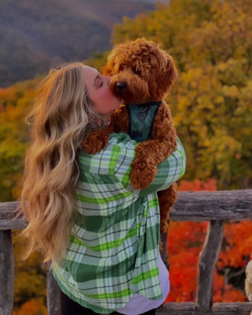 Fluffy Mini Goldendoodle Poodle Mix Pup